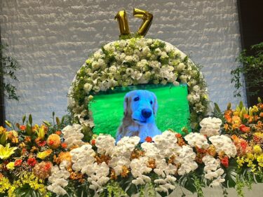 「広報担当部長すてっぷ　お別れの会」